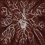 Trash Boat CD Crown Shyness