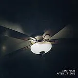 Like Roses CD After It Ends (digisleeve)