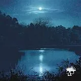 Planes Mistaken For Stars Vinyl Do You Still Love Me?