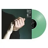 Birds In Row Vinyl We Already Lost The World