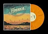 America Vinyl Halcyon Days