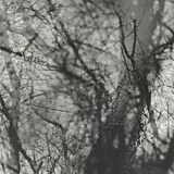 Grouper Vinyl Way Their Crept