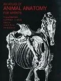 E-Book (epub) An Atlas of Animal Anatomy for Artists von W. Ellenberger, Francis A. Davis