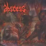 Abscess CD Through The Cracks...