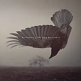 Katatonia LP (analog) The Fall Of Hearts