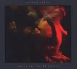 Flying Lotus CD Until The Quiet Comes