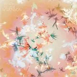 Bibio LP+Download Silver Wilkinson (Lp+Mp3) (Vinyl)