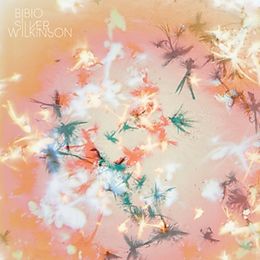 Bibio Vinyl Silver Wilkinson (Lp+Mp3) (Vinyl)