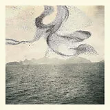 Snow Ghosts Vinyl A Small Murmuration (Vinyl)