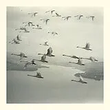Snow Ghosts Vinyl And The World Was Gone (Vinyl)