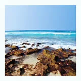 Marquis Hawkes Vinyl Fifty Fathoms Deep (Vinyl)