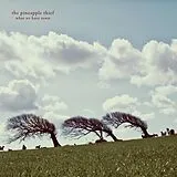 The Pineapple Thief LP (analog) What We Have Sown