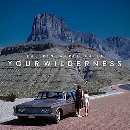 The Pineapple Thief Vinyl Your Wilderness