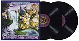 Ozric Tentacles LP (analog) Waterfall Cities
