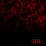 OSI CD Blood