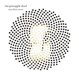 The Pineapple Thief LP (Vinyl) One Three Seven (Vinyl)