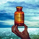 Blackfield LP (analog) V (lp Picture Disc)