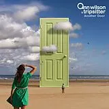 Ann Wilson & Tripsitter CD Another Door