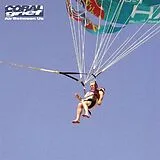 Coral Grief Vinyl Air Between Us