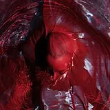 Blackwater Holylight Vinyl Not Here Not Gone (180g)