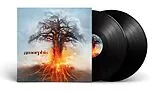 Amorphis LP (analog) Skyforger