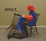Adult. CD The Way Things Fall