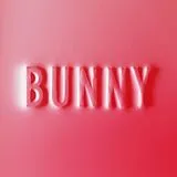Matthew Dear Vinyl Bunny
