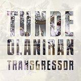 Tunde Olaniran Vinyl Transgressor