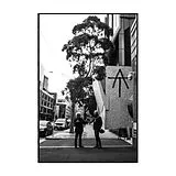 Finn,Tim LP (analog) At(purple Vinyl)
