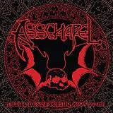 Asschapel Vinyl Total Destruction (1999-2006)