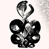 Bardo Pond Vinyl Volume 4 & 5 (black Vinyl 2lp)