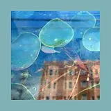 Pinks and Purples,The Reds CD Acknowledge Kindness