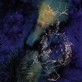 Bardo Pond CD Under The Pines