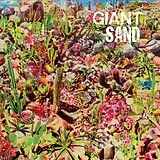 Giant Sand LP (analog) Returns To Valley Of Rain