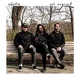 Sebadoh LP (analog) Act Surprised