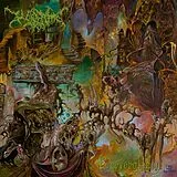 Worm LP (analog) Foreverglade