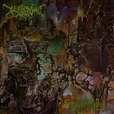 Worm CD Foreverglade