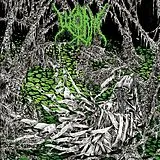 Worm LP (analog) Gloomlord