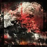 Ruin Lust LP (analog) Dissimulant