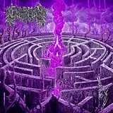 Civerous LP (analog) Maze Envy