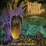 Maul LP (analog) In The Jaws Of Bereavement