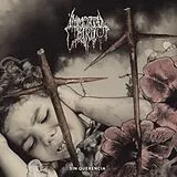 Immortal Bird LP (analog) Sin Querencia