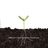 Tiger Jaw & Balance And Composure Vinyl Split