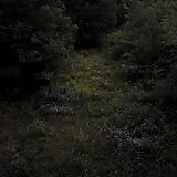 Fireworks LP (analog) Higher Lonely Power (cloudy Black Vinyl)