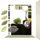 Turnover LP (analog) Magnolia (leafy Green Half And Half Vinyl)