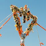 Devil Wears Prada,The Vinyl Flowers