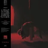 Knocked Loose Vinyl A Tear In The Fabric Of Life (Vinyl)