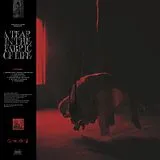 Knocked Loose CD A Tear In The Fabric Of Life