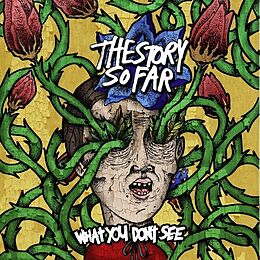 Story So Far,The Vinyl What You Don't See