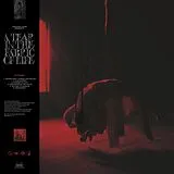 Knocked Loose Vinyl A Tear In The Fabric Of Life (toffee Torrent Vinyl
